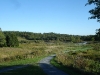 dsc01599
